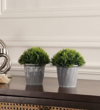 Foliyaj Set of 2 Artificial Real Looking Plants with Thick Green Leaves with pots|Bonsai Tree|Artificial Flower|with Pot|Home D�cor for Living Room Home Office Shop|House|Gift|Decoration