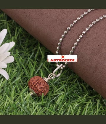 Astrodidi 7 Mukhi Rudraksha Pendant / Seven Face Indonesian Java Small Rudraksha with Lab Report