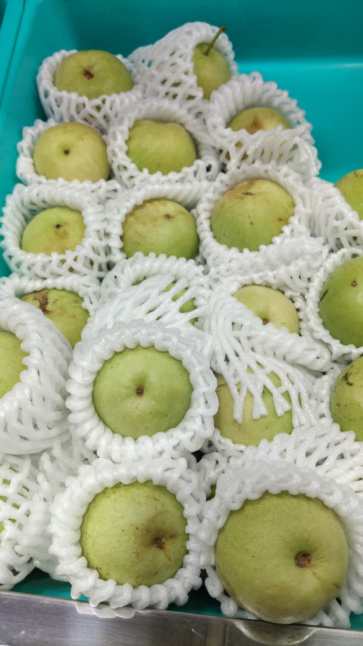 Guava (peru) 2 KG