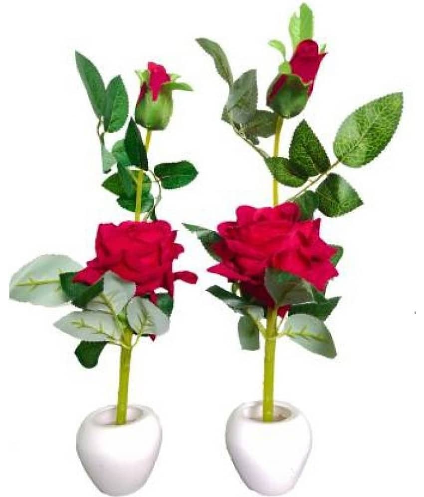 Green plant indoor Rose Red Flowers With Pot - Pack of 2