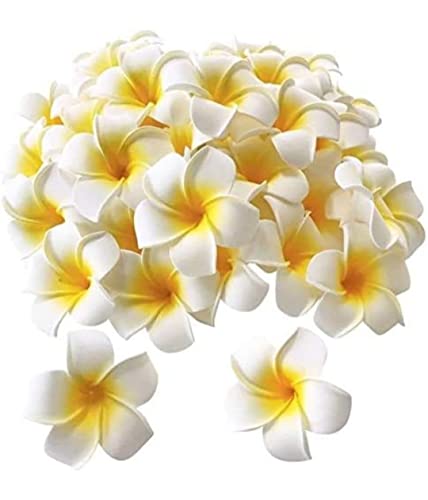 Artificial gBig Foam Hawaaii Fake Foam Water Floating Flowers for Pooja Thali, Festival and Events, Home, Table, 2