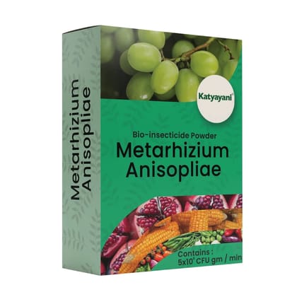 Katyayani Metarhizium Anisopliae | Powder Bio Insecticide