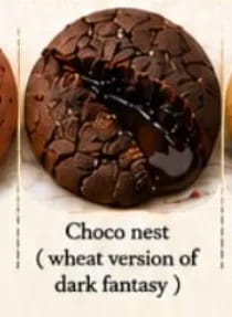 CHOCO NEST COOKIES   100 G