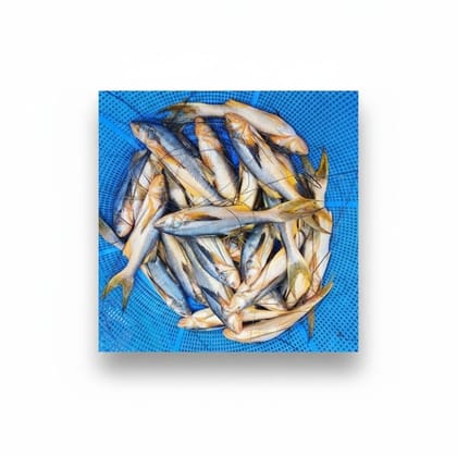 Fresh Raw Fish - 1 kg - 1kg pack of fresh raw fish