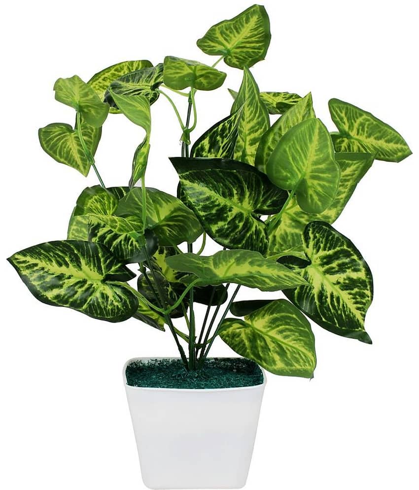 Green plant indoor Artificial Money Plant Bonsai Green Bonsai Plastic - Pack of 1