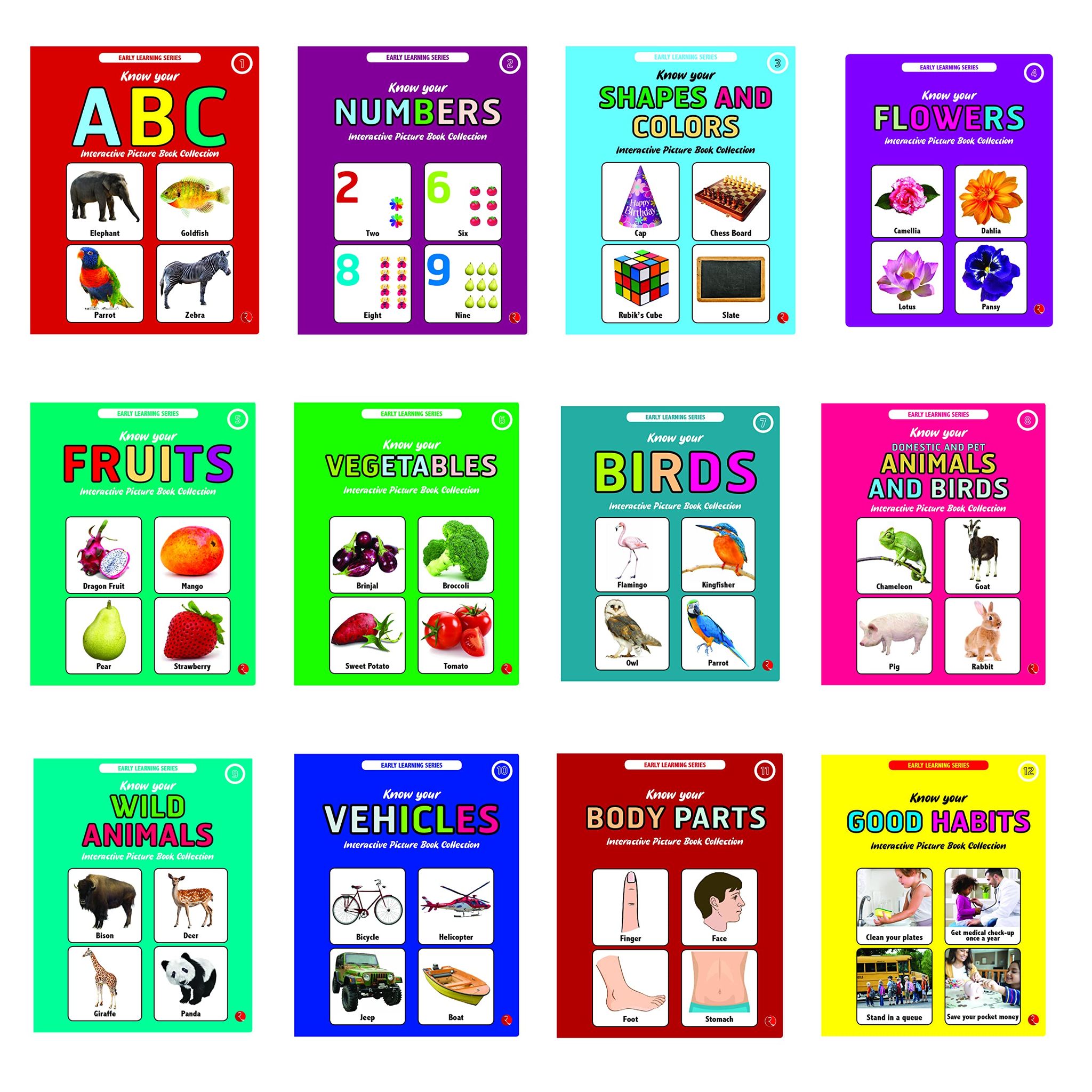 INTERACTIVE PICTURE BOOK COLLECTIONS: Set of 12 Books