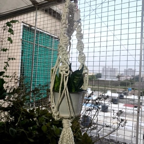 Plant Hanger