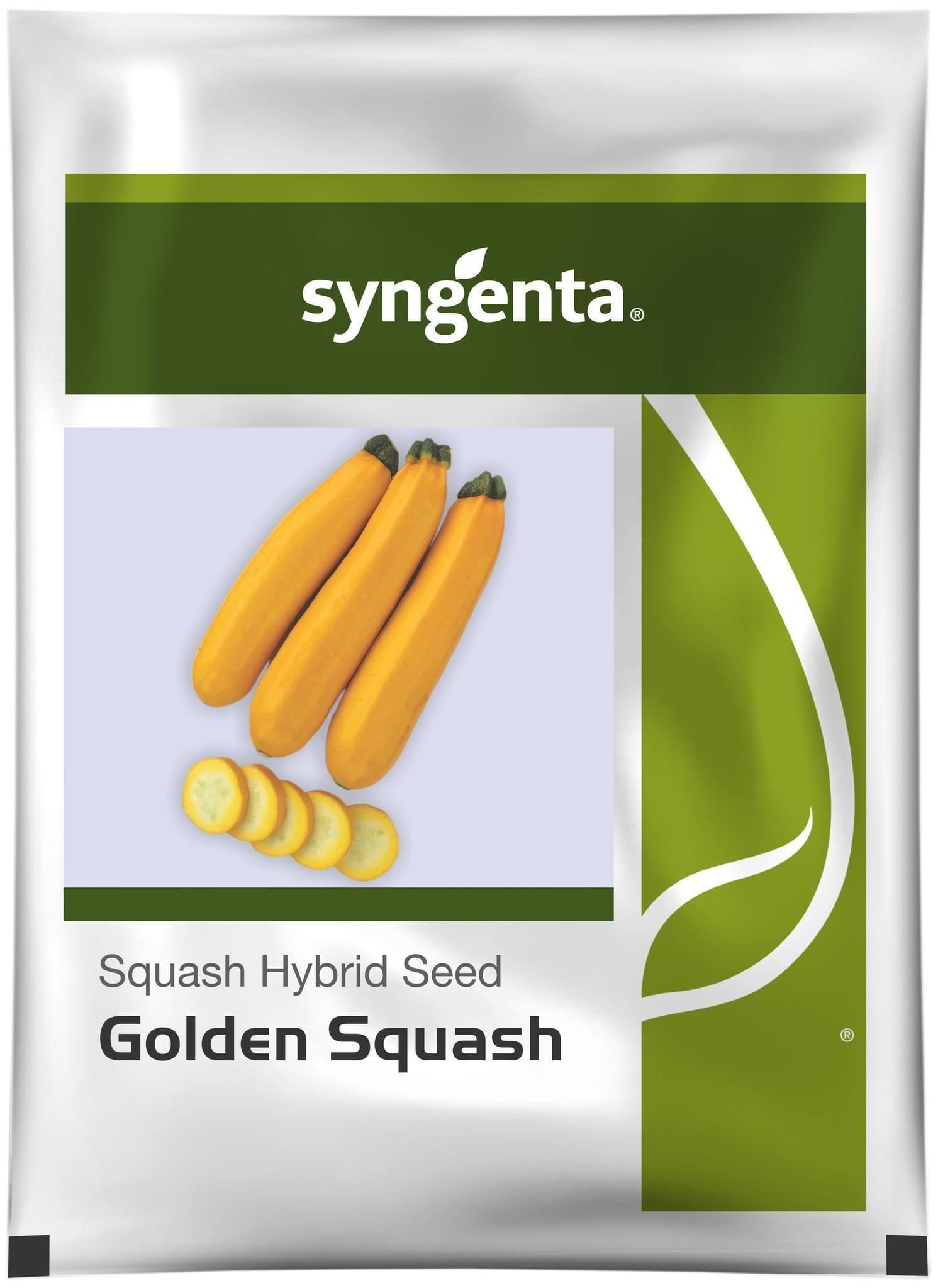GOLDEN SQUASH