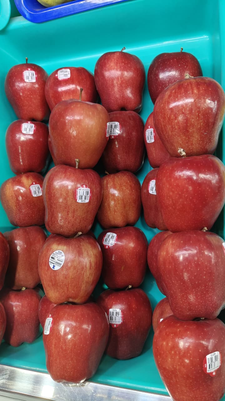 Washington Apple2 KG
