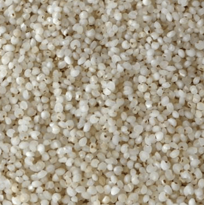Kuthiravali (Barnyard Millet) rice