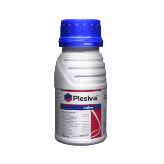 Plesviva