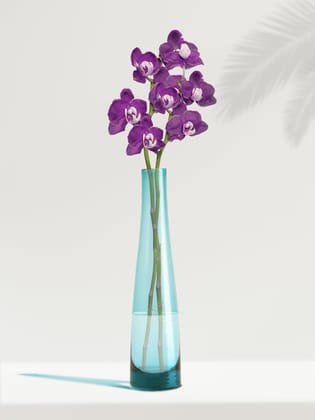 NATURALLYOURS GLASSWARES DL0007-AQ 5.5CM AQ VASE NATURALLYOURS GLASSWARES DL0007-AQ 5.5CM AQ VASE