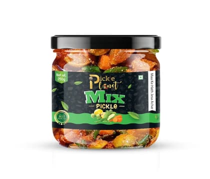 Pickle Planet Mix Pickle | Homemade Pickle | Authentic, Tangy & Delicious Taste | No Artificial Color and Flavors | Gluten Free | Mix Achar (250g) Pickle Planet Mix Pickle | Homemade Pickle | Authentic, Tangy & Delicious Taste | No Artificial Color and Flavors | Gluten Free | Mix Achar (250g)