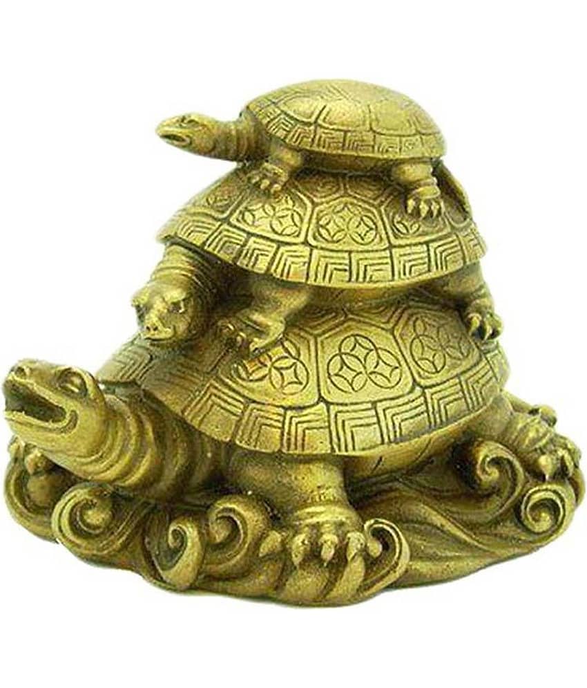 Shop8 Resin Tortoise