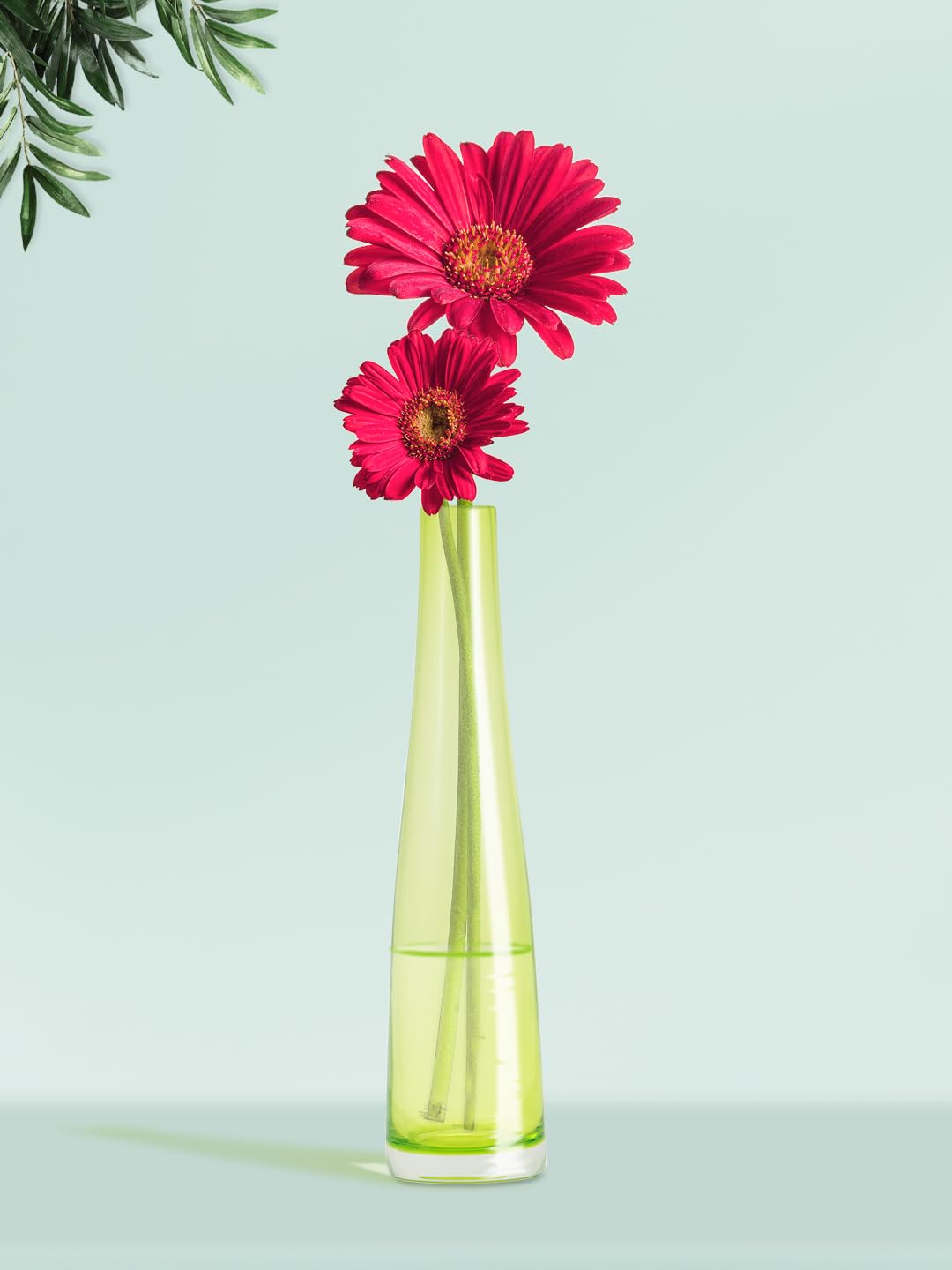 NATURALLYOURS GLASSWARES DL0007-LG 5.5CM LG VASE