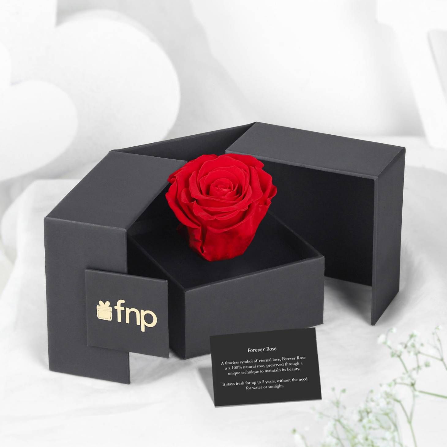 FNP Forever Red Rose - Preserved Rose Flower - Timeless Romantic Gift for Valentines Day & Anniversaries