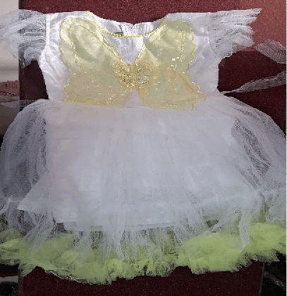 BEAUTIFUL ELEGANT FANCY PARI FROCK