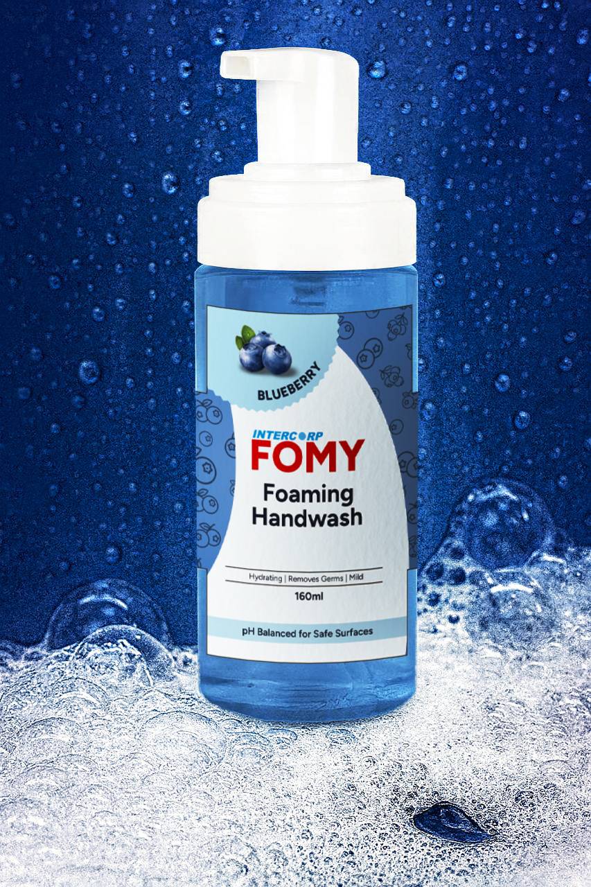 Intercorp Fomy Antibacterial Soft Refreshing Foam Hand Wash - 160ml (Blueberry)