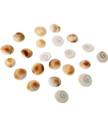 KESAR ZEMS Natural Stone  Gomtichakra  Pack of 22(8.5x5.5x2 cm) White
