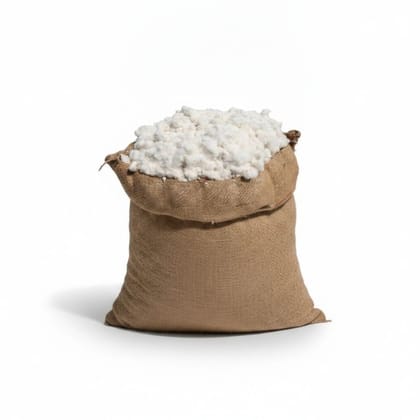 Raw Cotton Fiber in Jute Sack - 20 kg - One jute sack containing cotton