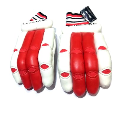 Sports Match Batting Gloves Mens, Size- 26/12 cm