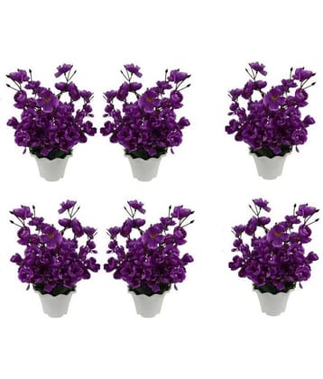 Green plant indoor Orchids Multicolour Flowers With Pot - Pack of 6