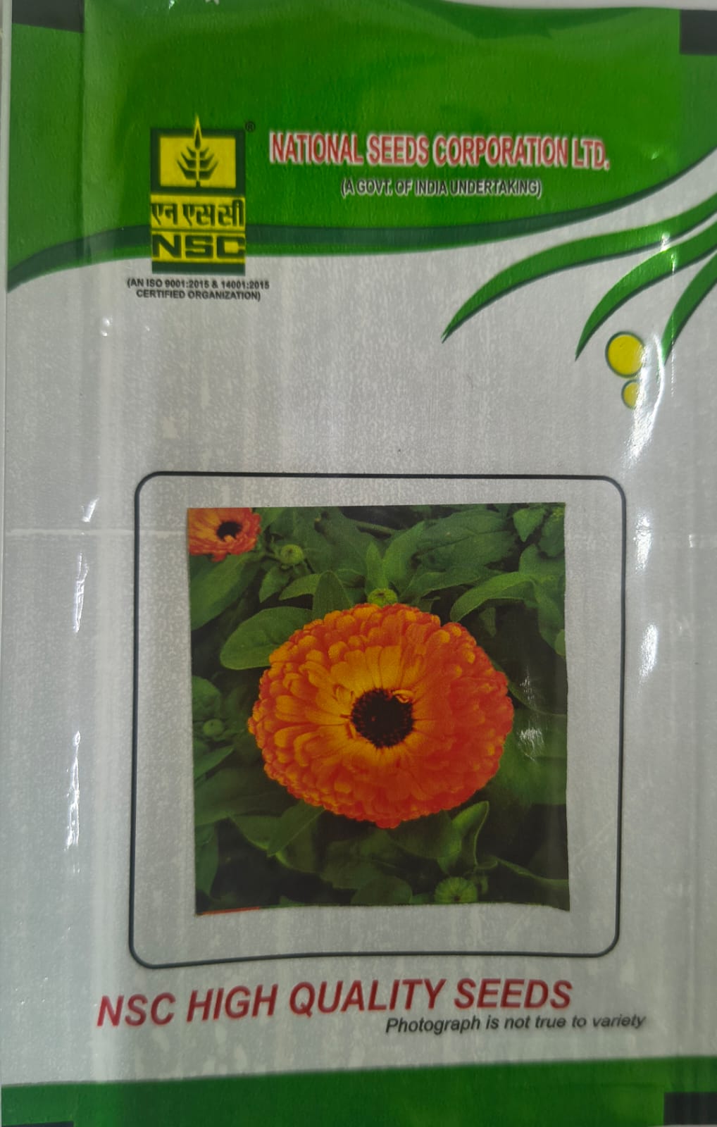 NSC Calendula Officinalis Orange Gitana Flower seed