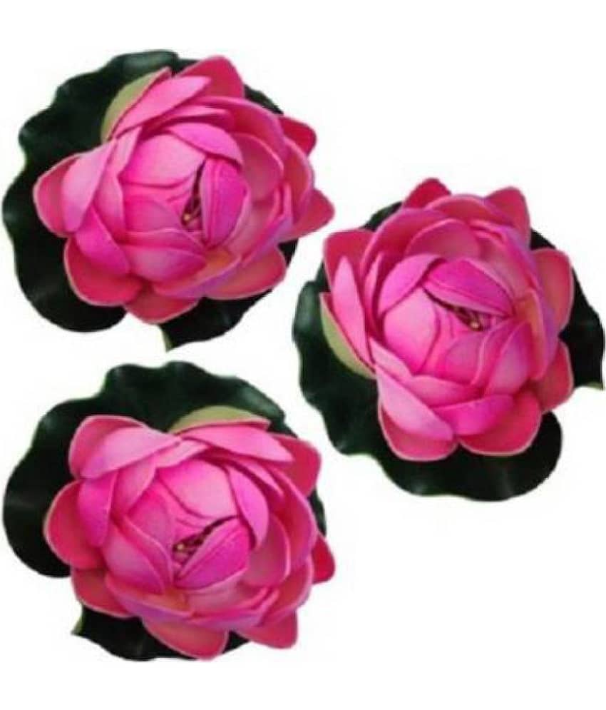 Green plant indoor Lotus Pink Floating Flowers - Pack of 3
