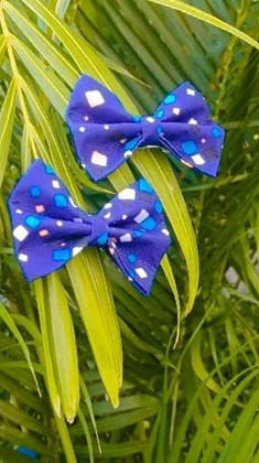 Mini Bow