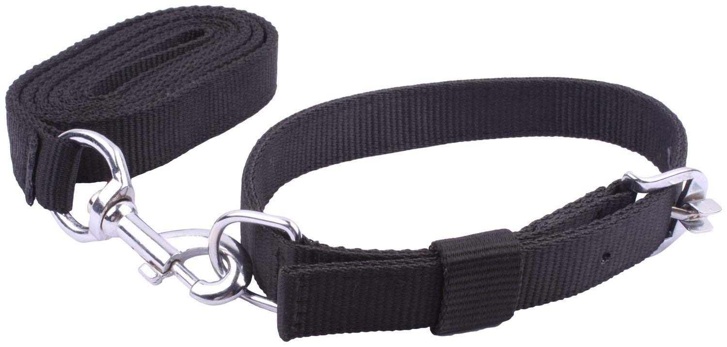 Nawani Dog Belt with Standard Collar and Leash (Black 1/58 Inch)