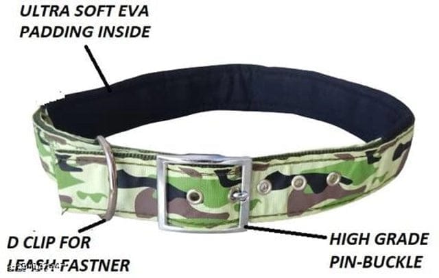 Neck Coller 0.5 inches Belt for Pet (Multicolor)