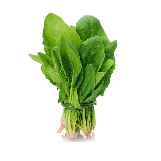 Green Spinach 1 JUDI