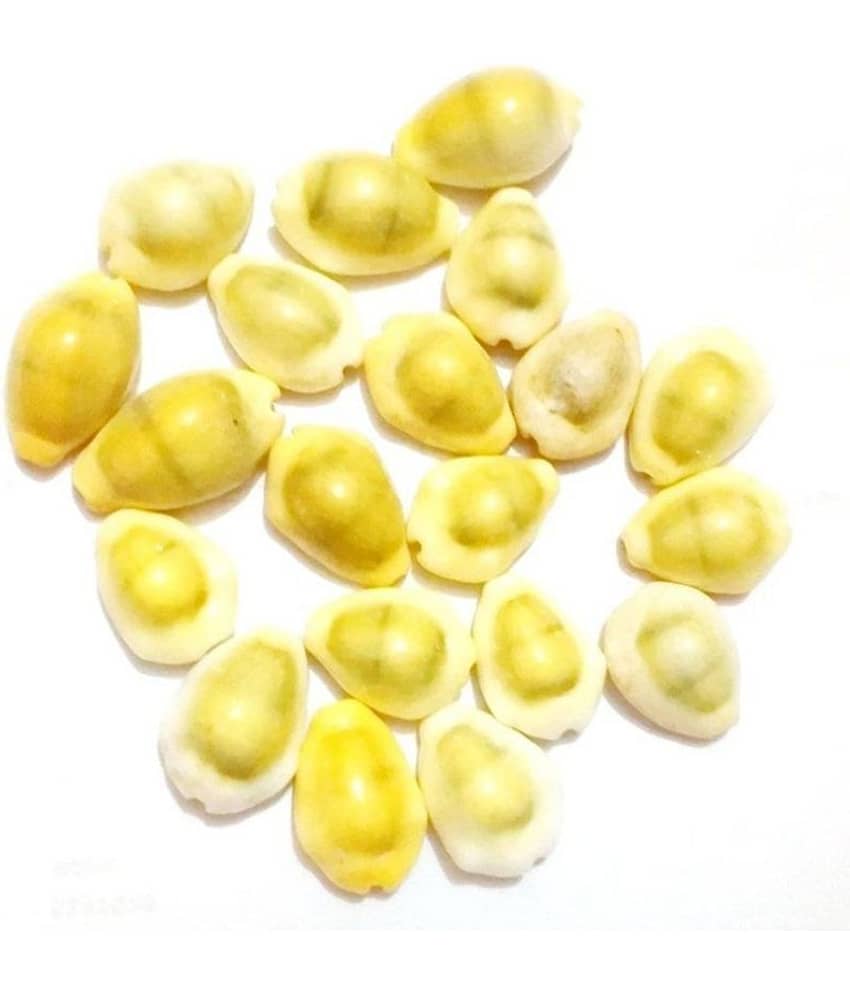 Set of 21 - Natural Yellow Kaudi Kowdi Cowrie Yellow Koudi