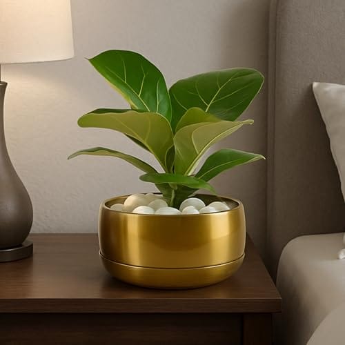 Home,13.9x7.62cm, Pulse Nest - Gold