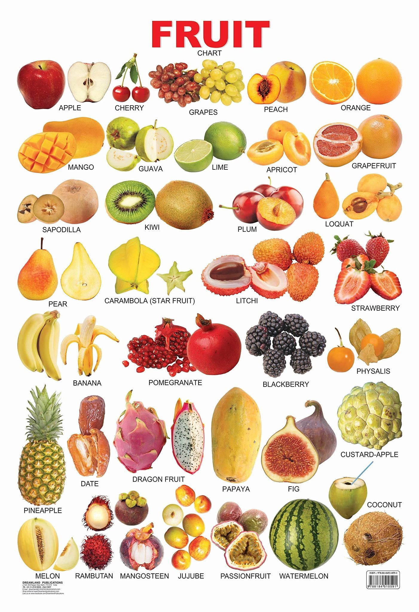 Fruits (All in One) Educational Wall Chart For Kids - Both Side Hard Laminated (Size 48 x 73 cm) [Poster] Dreamland Publications