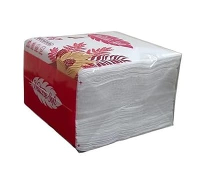 Divatos Tissue Paper Napkins I Soft And Highly Absorbent I 100 Pcs Per Packet | Ideal for Restaurants Cloud Kitchen & Takeaway Breakfast Dinner & Lunch Table I (Set of 5 Packet) White Divatos Tissue Paper Napkins I Soft And Highly Absorbent I 100 Pcs Per Packet | Ideal for Restaurants Cloud Kitchen & Takeaway Breakfast Dinner & Lunch Table I (Set of 5 Packet) White