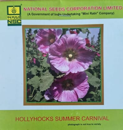 NSC Hollyhocks Summer Carnival Flower Seed