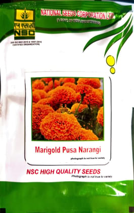 Nsc marigold / pusa narangi 10 g seed