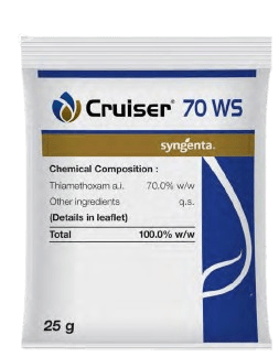 CRUISER 70 ws