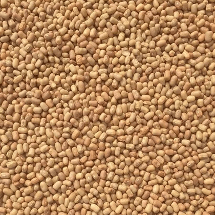 Moth Dal 1 kg Moth Dal 1 kg