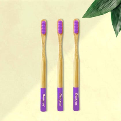 Dencrus Orby Plus Bamboo Toothbrush (Lavender, Pack of 3) | Extra Soft Bristles & Gum Care | Daily Oral Hygiene