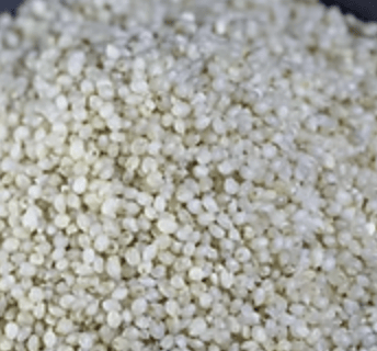 Samai (Little Millet) rice
