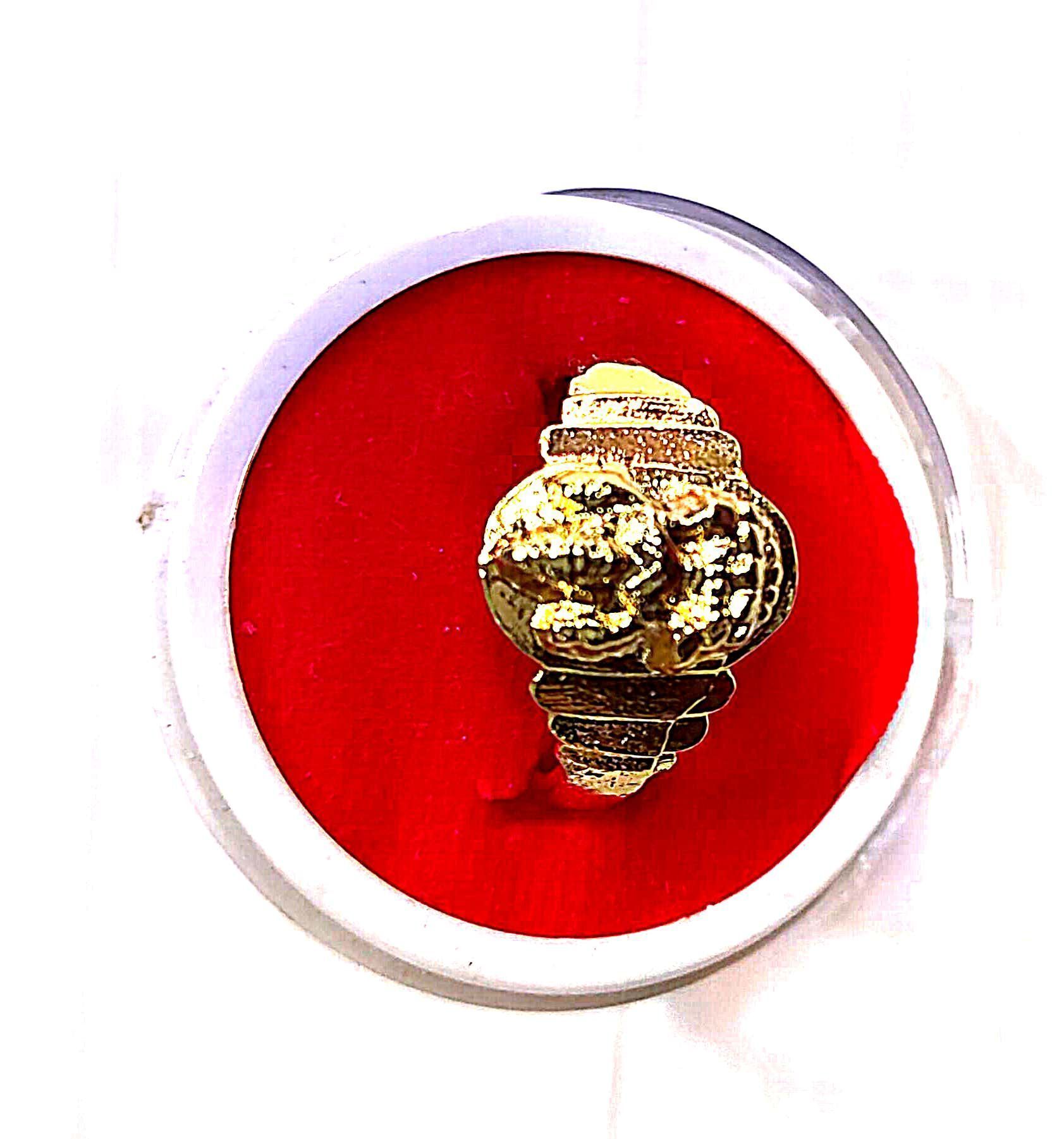 "Stunning Golden Ring with Intricate Design and Smooth Finish"