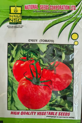 NSC Hybrid Tomato Kashi Abhiman,10 gm