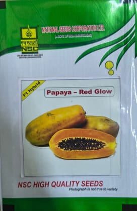 NSC Hyb. Papaya Red Glow Seed, 20 seed per pack