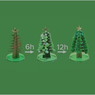 DIY Christmas & New Year Magic Growing Tree - Gift Set, Kids, Office & Home Decor DIY Christmas & New Year Magic Growing Tree - Gift Set, Kids, Office & Home Decor