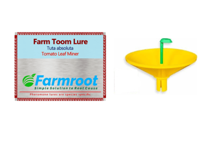 FARM TOOM LURE WITH WATER TRAP (Pack of 10)