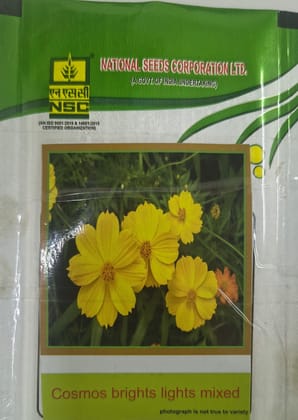 NSC Cosmos Brights Lights Mixed Flower seed, 5gm