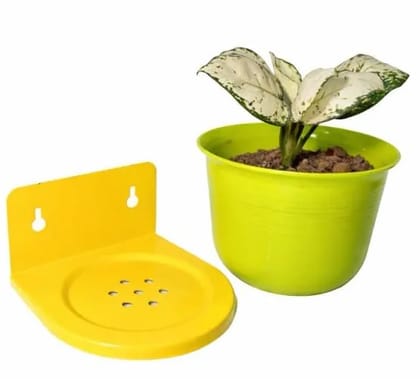 Wall Mounted Plant Holder with Free Pot Included | Plastic Hanging Planter Shelf for Indoor Outdoor Garden & Balcony(Yellow Green)