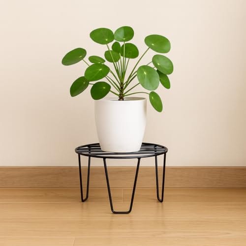 ecofynd Flora Metal Planter Stand for Living Room, Plant Stand for Balcony, Flower Pot Holder for Indoor &